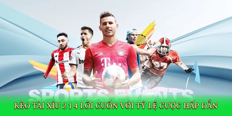 Kèo tài xỉu 2 1/4 lôi cuốn với tỷ lệ cược hấp dẫn