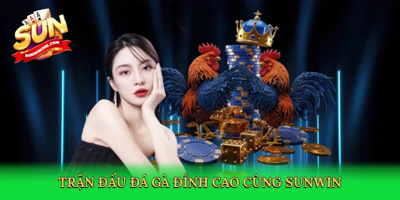 Trận đấu đá gà đỉnh cao cùng Sunwin